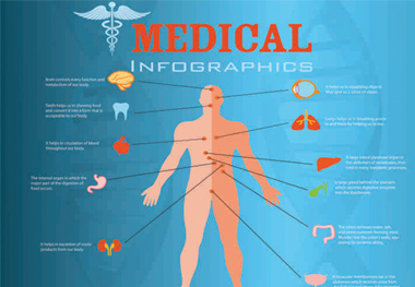 human-body