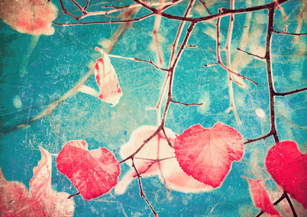 Wall Painting